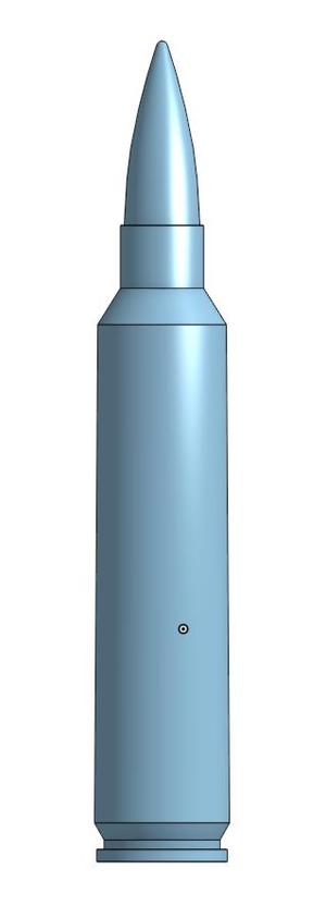 .30 Nosler Cartridge