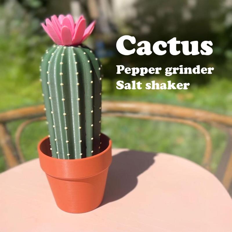 Cactus Salt Shaker & Pepper Grinder