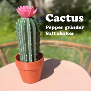 Cactus Salt Shaker & Pepper Grinder