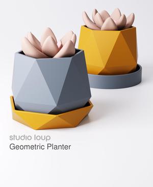 Geometric Planter with Drip Tray