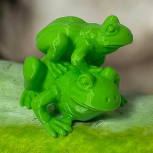 Two Frog