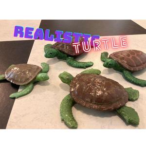 Realistic Turtle