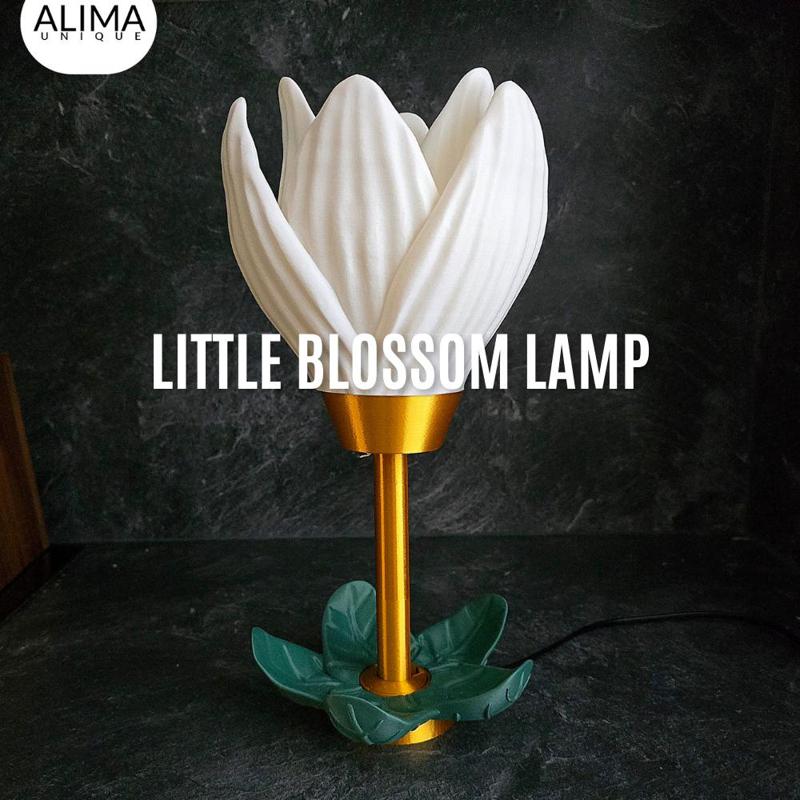 Blossom Lamp - Big and little