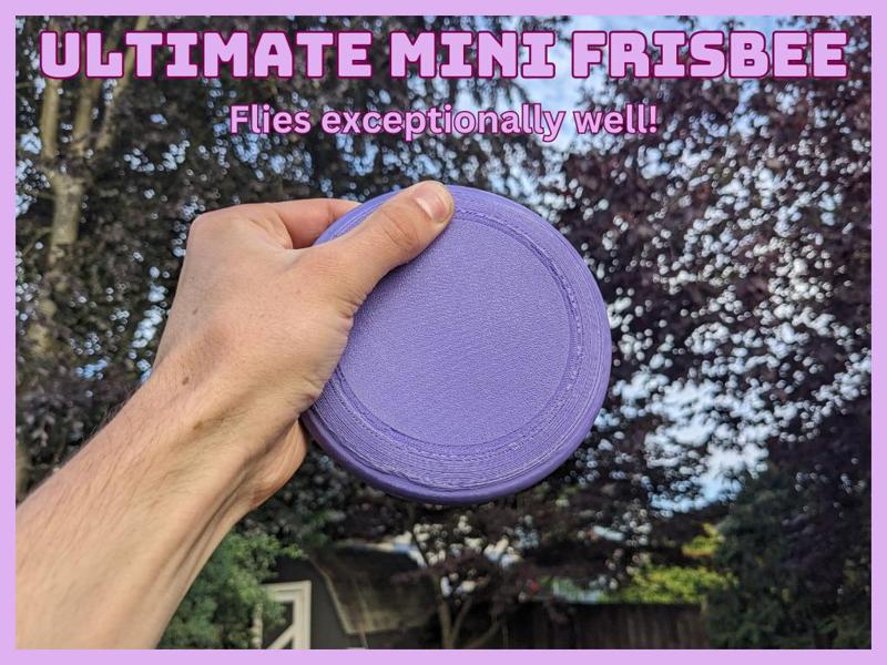 Ultimate Mini Frisbee!