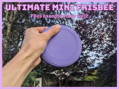 Ultimate Mini Frisbee!