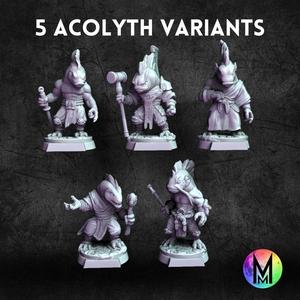 Acolith Variants (Set of 5 models that are variants of the other acolyths)