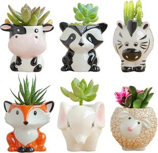 WhimsyAnimal Pots 