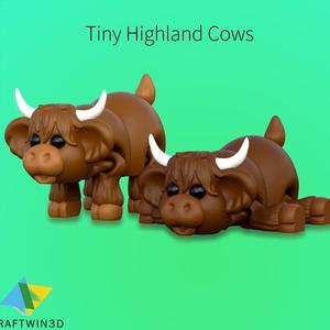 Tiny highland cow tow