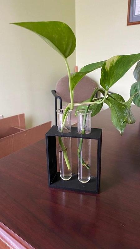 Propagation Station 2