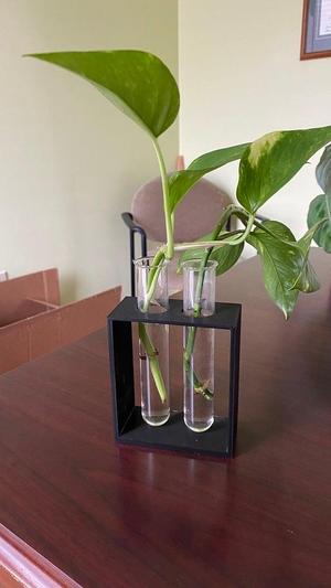 Propagation Station 2