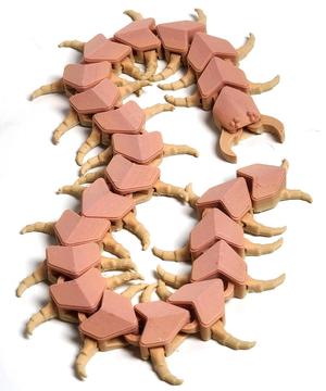 Articulated Scolopendra