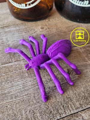 Spider Prop