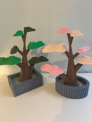 Bonsai - Plant