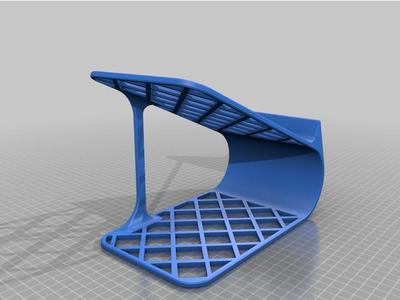 Shoe Organizer