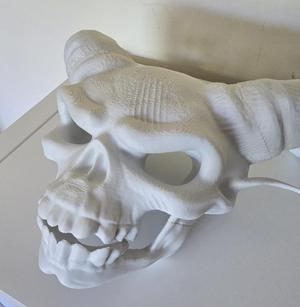 Demon skull mask