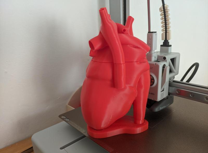 Anatomy Heart Bottle