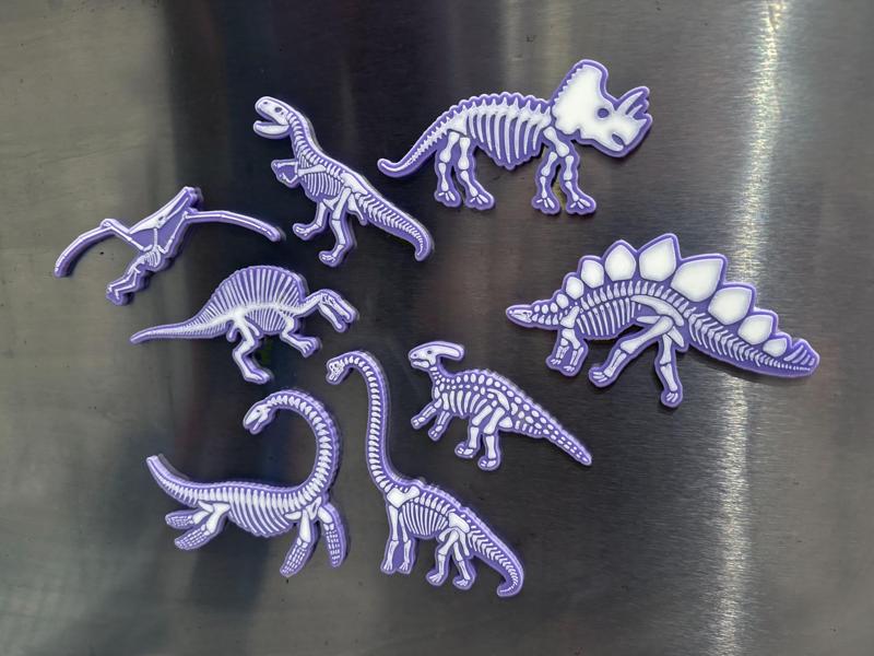 Dinosaur Bones Magnets