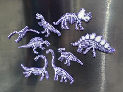 Dinosaur Bones Magnets