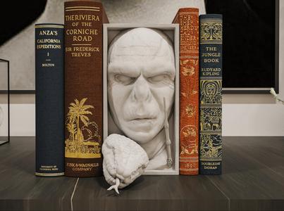 Voldemort Book Nook and Wall Mount