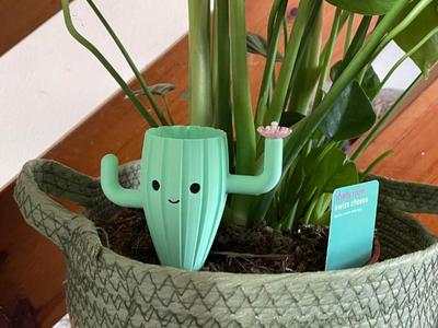 Happy Cactus Watering Plant Spike