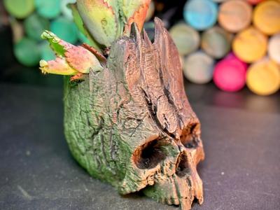 The Skull of Life Planter