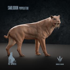 Smilodon populator : The Saber-toothed Cat