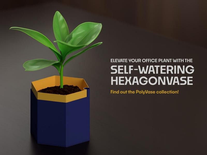 Self-Watering HexagonVase