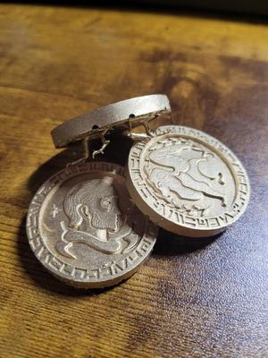 Coin Beetle Treasure Bugs - Dungeon Meshi ( Delicious in Dungeon) - MSLA Only