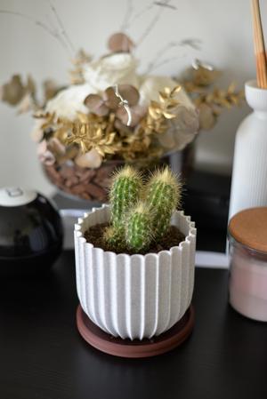 Rocky Vase