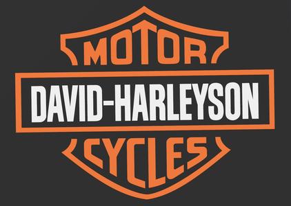 DAVID-HARLEYSON //  RARE DEFUNCT MOTORCYCLE MFG LOGO