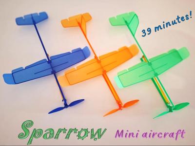Mini Aircraft "Sparrow"