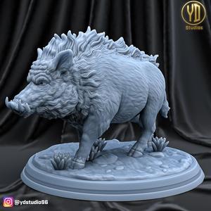 WILD BOAR