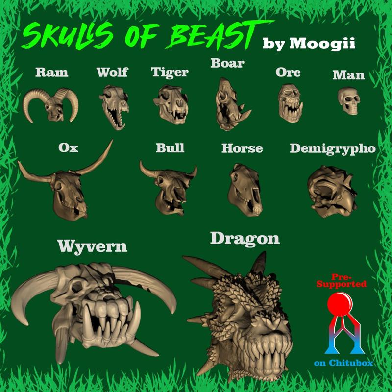 Skulls of Beasts