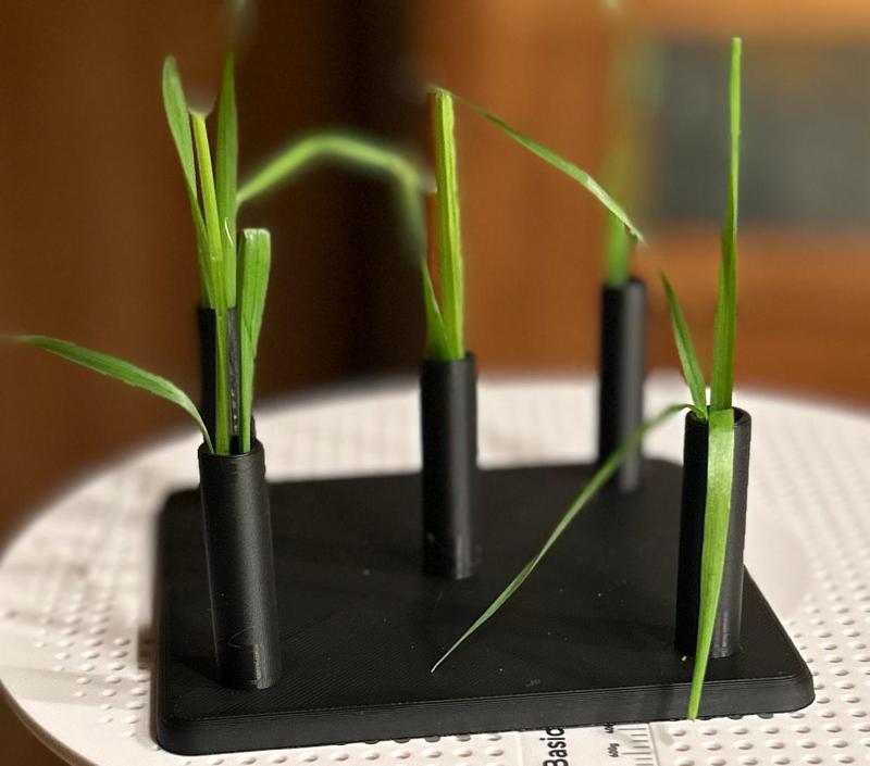 Cat Grass Holder