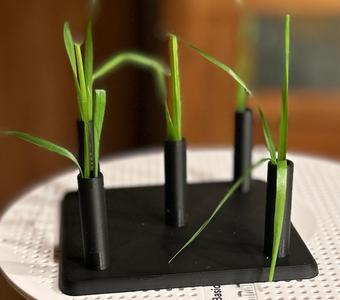 Cat Grass Holder