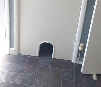 Cat arch