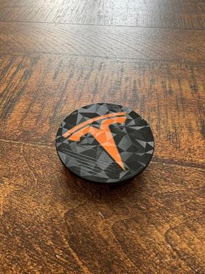 Tesla hubcap