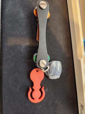 Removable $1 AU Trolley Token