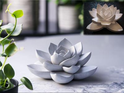 Stone Succulent