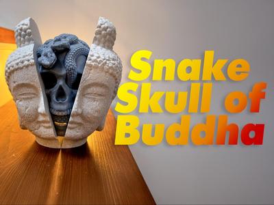Snake Skull of Buddha