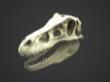 T-Rex skull