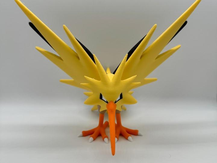 Zapdos Multicolor