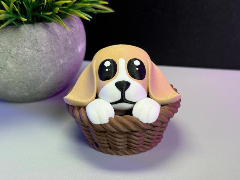Cute Dog