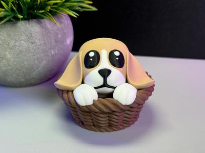 Cute Dog