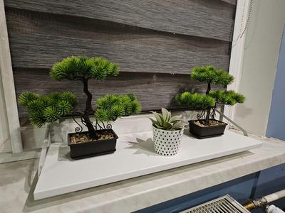 Window sill shelf