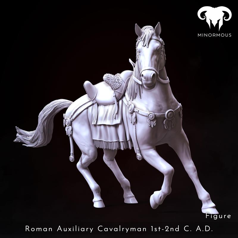 Horse - Roman Auxiliary Cavalryman 1st-2nd C. A.D. Riding with Rome!