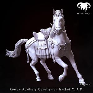 Horse - Roman Auxiliary Cavalryman 1st-2nd C. A.D. Riding with Rome!