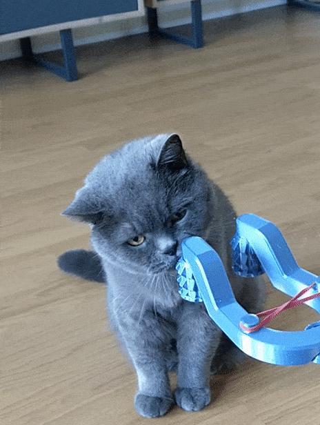 Cat massage roller (print in place)