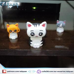 Ghost cat
