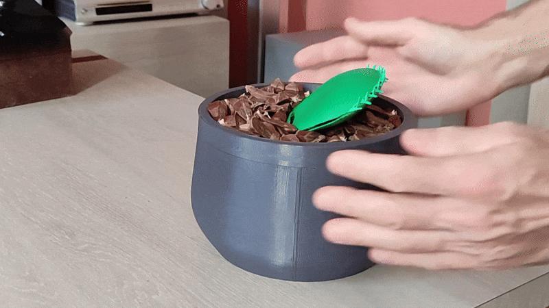 Carnivorous plant money box